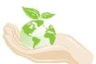 Green planet in palm
